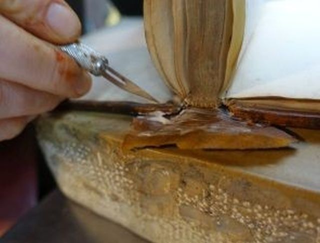 restauration de la coiffe avant le remplissage